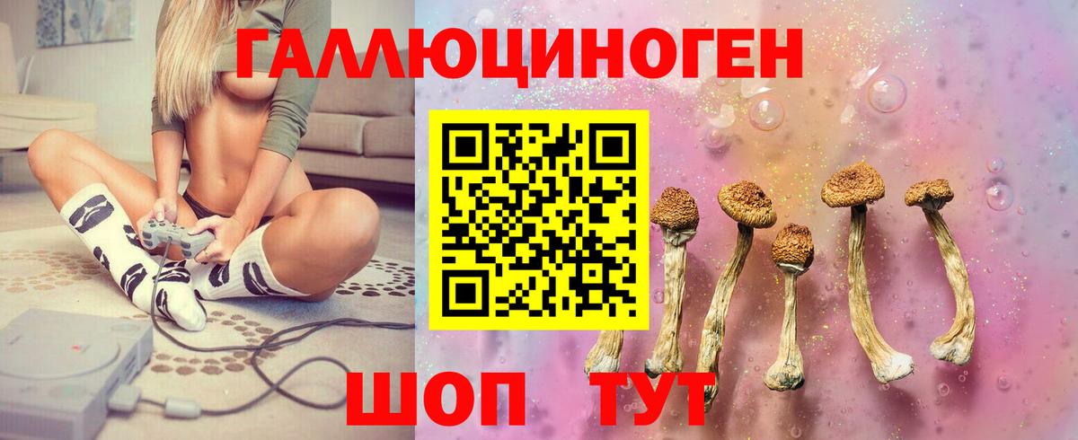 Галлюциногенные грибы мицелий Владимир