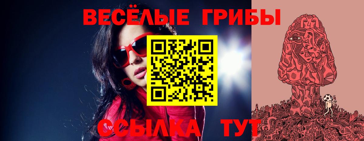Владимир  Псилоцибиновые грибы ЛСД  Вход с VPN 